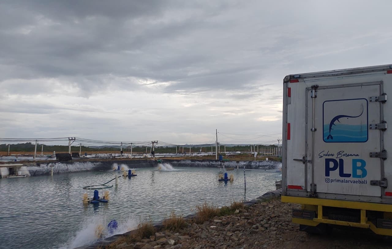Larvae truck at farm