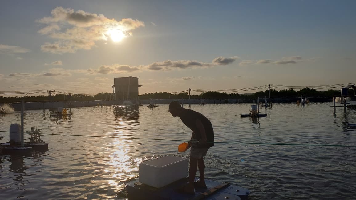 Bright day over ponds